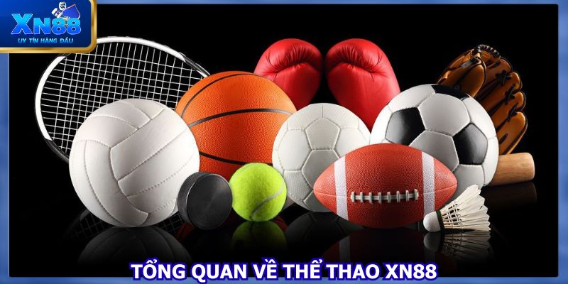 Danh mục đặc biệt của nhà cái